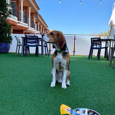 Ξενοδοχείο Boutique Calas De 4*